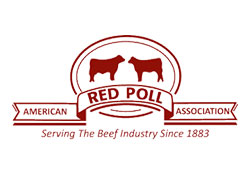 Pure beef cattle breeds exist and thrive only to the extent that they can produce profits for their owners, across many environments, many markets and changing times. Since the development of the commercial beef industry in the United States.